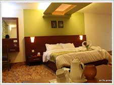 Manufacturers Exporters and Wholesale Suppliers of Hotel Le Premula Silguri West Bengal